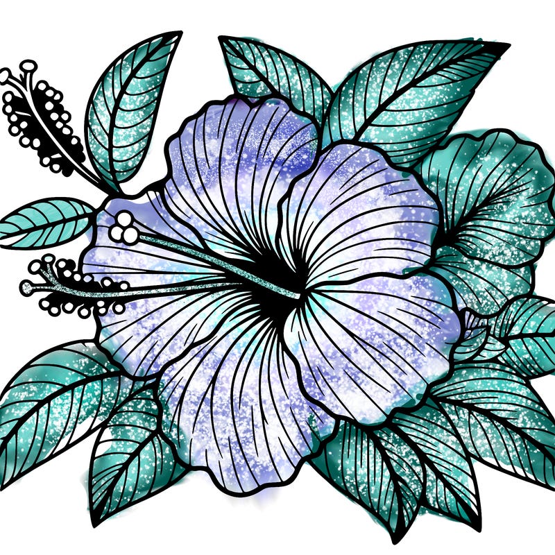 habiscus