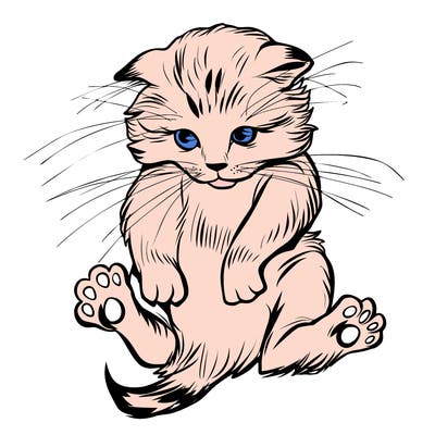 animals_20