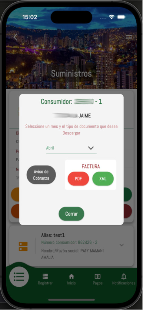 DELAPAZ APPLUZ - Interfaz de la aplicación DELAPAZ APPLUZ mostrando una ventana emergente para seleccionar y descargar una factura eléctrica mensual en formato PDF o XML