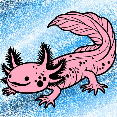 axolotl