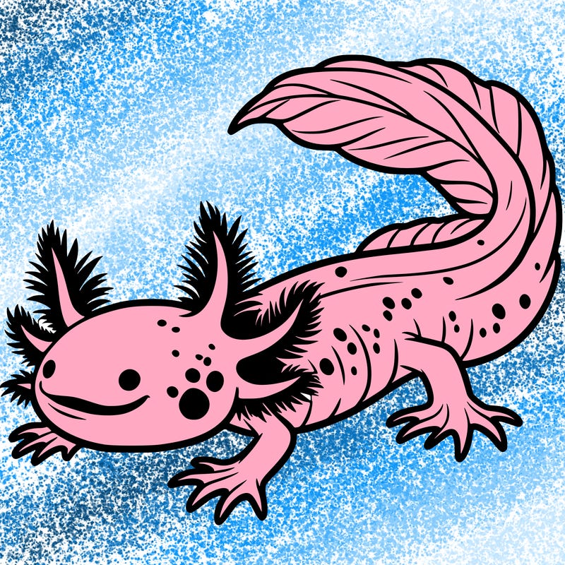 axolotl
