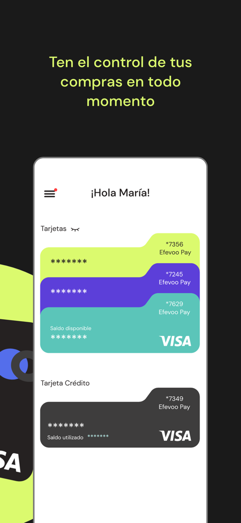 Efevoo Pay - Efevoo Pay app screen displaying multiple virtual VISA cards and account balance