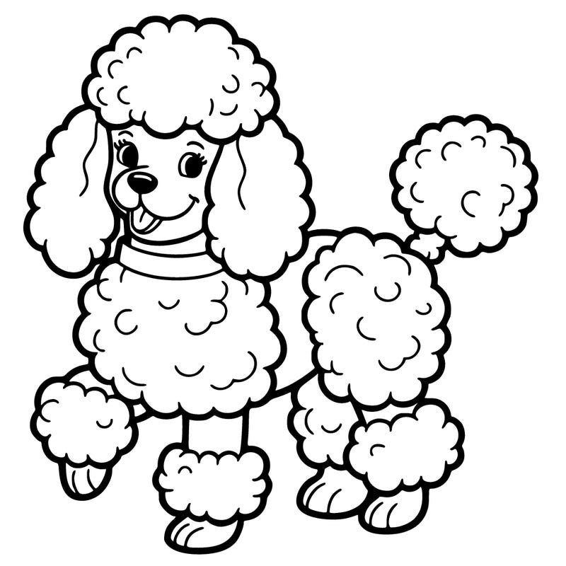 poodle