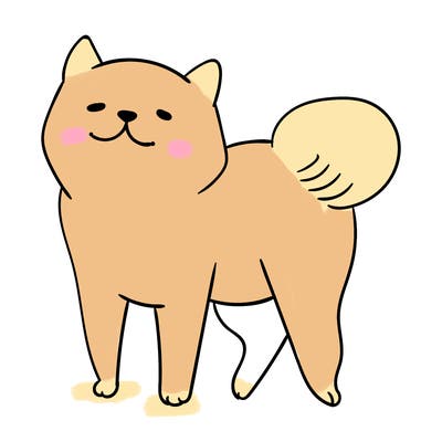 animals_29