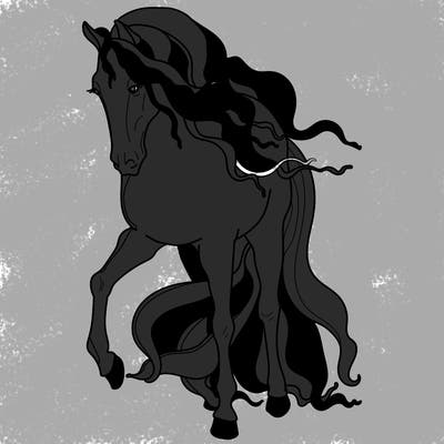 animals_11