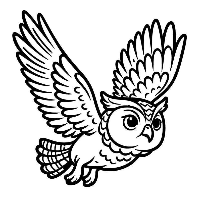 an owl flying