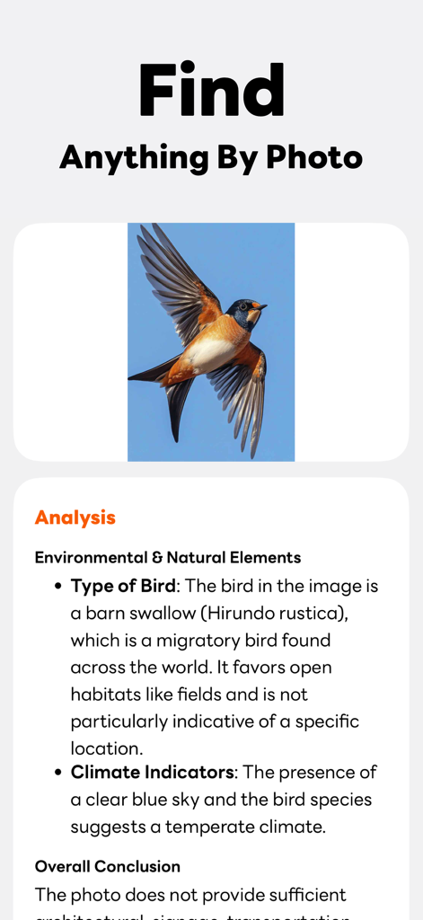 Buster AI - Buster AI app displaying a reverse image search result for a bird with detailed environmental analysis.