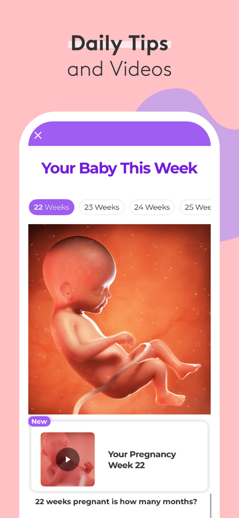Pregnancy Baby Tracker - WTE - 3D visualization of baby development at 22 weeks in the What to Expect app