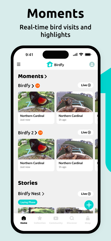 Birdfy - Birdfy Mobile App-Oberfläche, die eine Galerie von erfassten Vogelbesuchen und Updates zur Brutphase zeigt