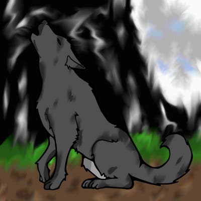 animals_36