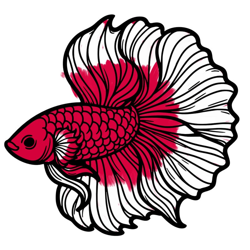 betta fish