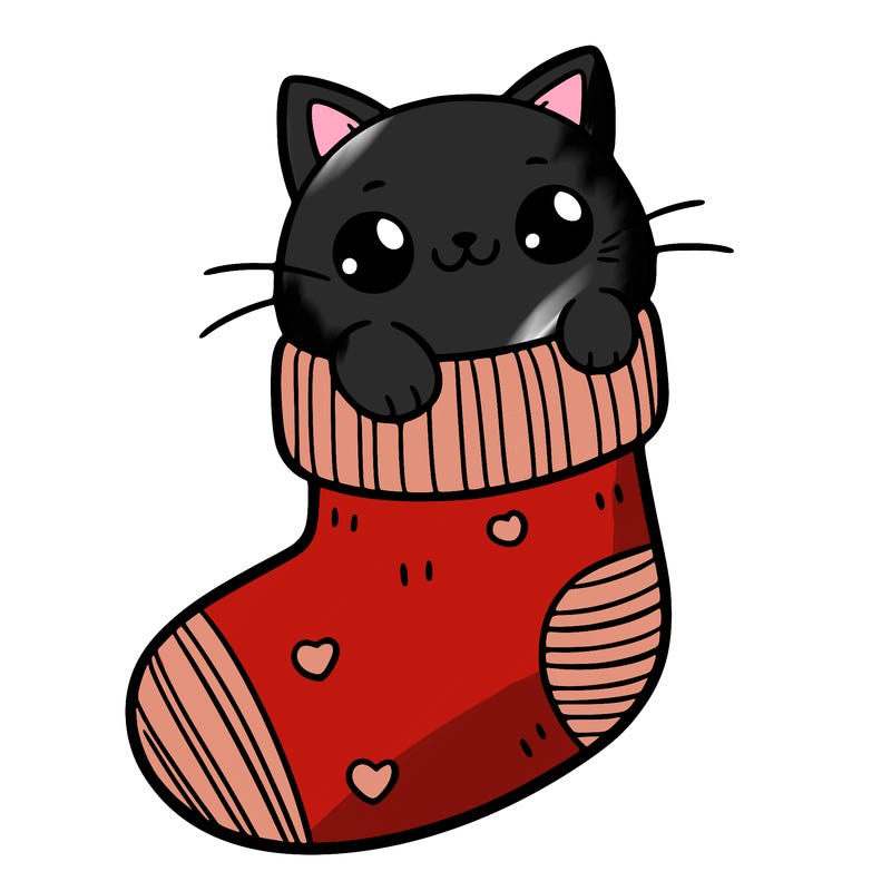 cute cat in a sock