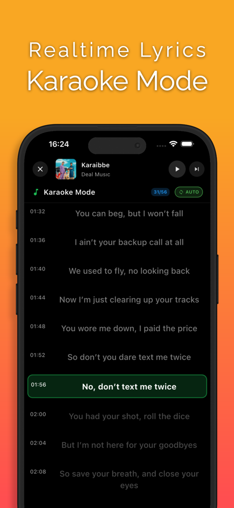 Screenshot of the Muzika app showing synchronized lyrics in karaoke mode