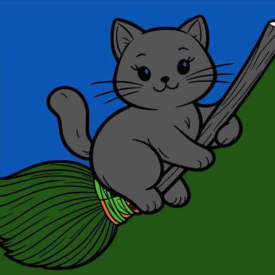 cat on a broom