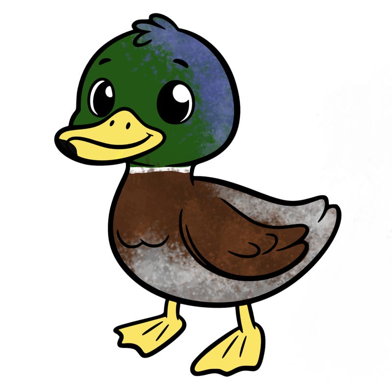 duck
