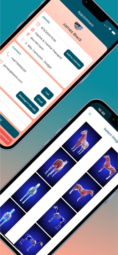 Equigate - Equigate mobile app interface displaying appointment details and horse anatomical diagrams for diagnosis