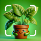Plant ID & Disease Identifier
