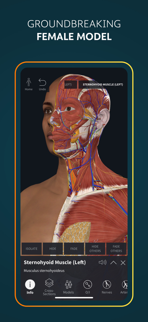 Complete Anatomy for iPhone - Un modèle anatomique 3D détaillé d'une tête et d'un cou de femme montrant les couches musculaires et vasculaires dans l'application Complete Anatomy.