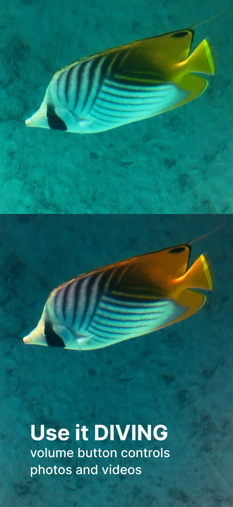 Comparación lado a lado de un pez mariposa bajo el agua que muestra la corrección de color con el modo de buceo de Cámara de Acuario