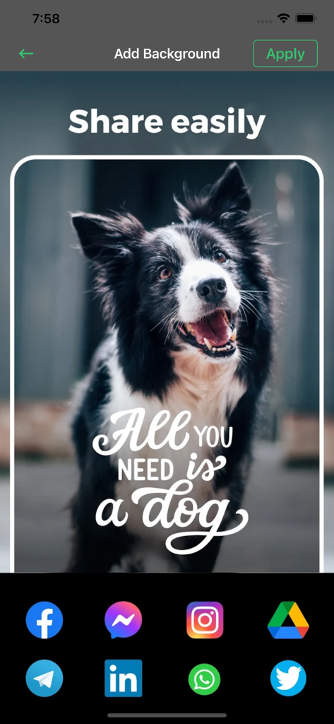 Captura de tela de um aplicativo de edição de fotos mostrando uma foto de cachorro com texto e opções de compartilhamento em redes sociais