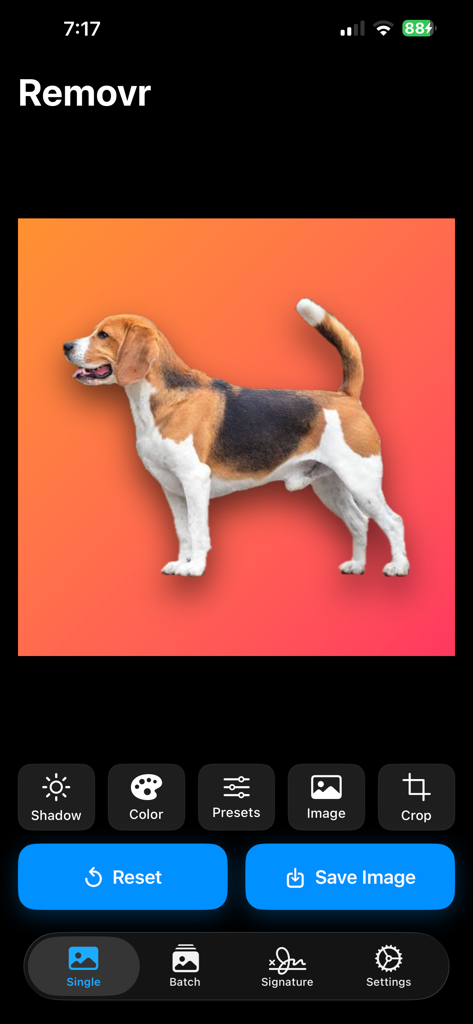 Remove Background - Removr - Schermata dell'app Removr che mostra un beagle su uno sfondo colorato con opzioni di modifica foto per ombre e colori