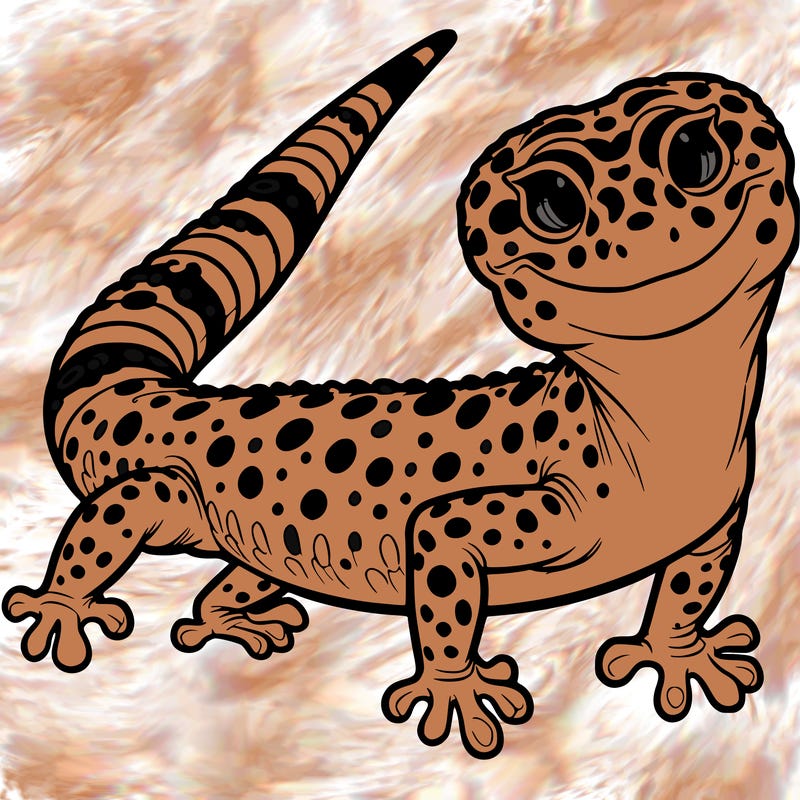 leopard gecko