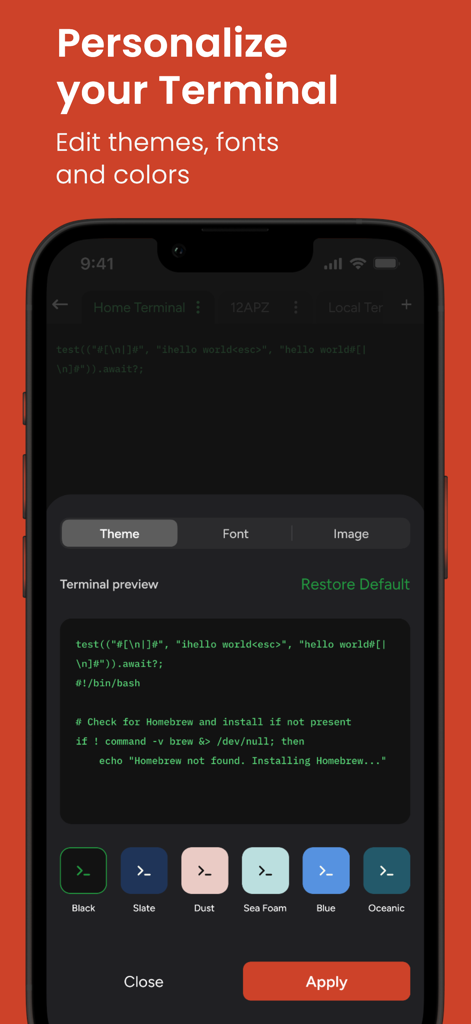 Terminal - SFTP & SSH Client - Personalization settings for terminal themes fonts and colors