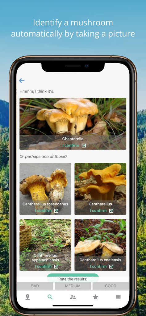 Mushroom Identificator - シャントレルのキノコ識別結果と、いくつかの代替種候補が表示されているキノコ識別アプリのインターフェイス。