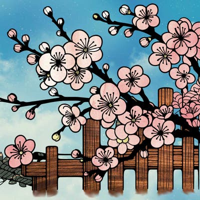 japan cherry blossom