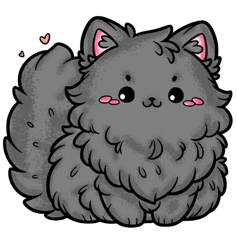 cute fluffy cat