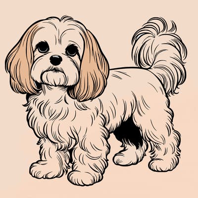 realistic maltese cocker spaniel mix