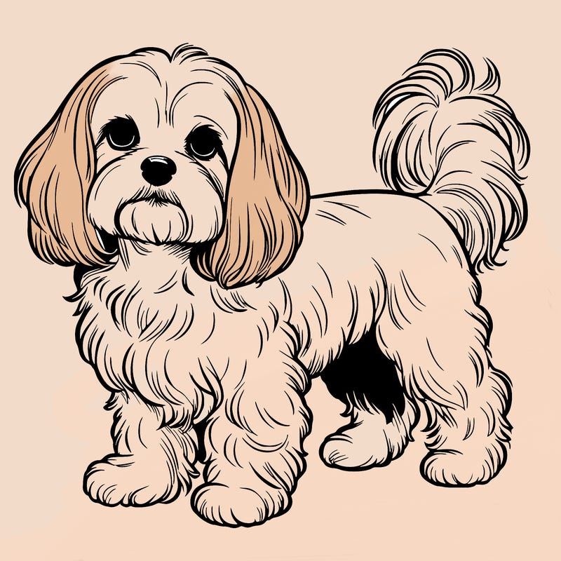 realistic maltese cocker spaniel mix