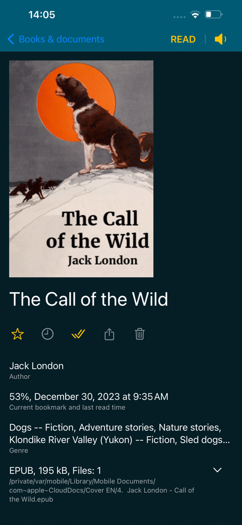 Oberfläche der ReadEra App, die detaillierte Informationen und den Lesefortschritt eines EPUB-Buchs anzeigt