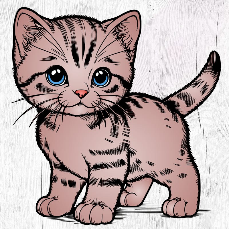 realistic kitten