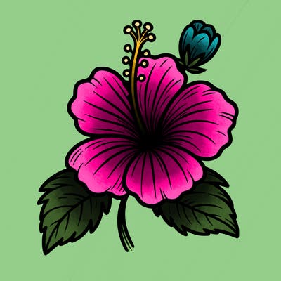 hibiscus flower