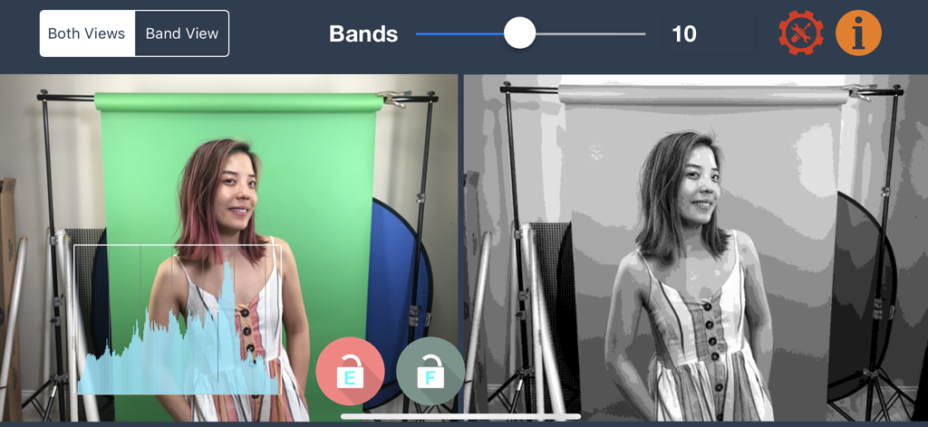 Perfect Green Screen - 元のグリーンバック映像と、アプリインターフェイスのグレーバンド輝度可視化の並べて比較表示。