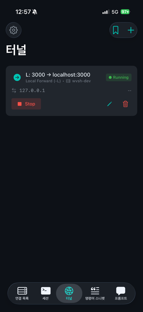 VibeShell - Interfaz de la aplicación VibeShell que muestra un túnel SSH activo para reenvío de puertos locales