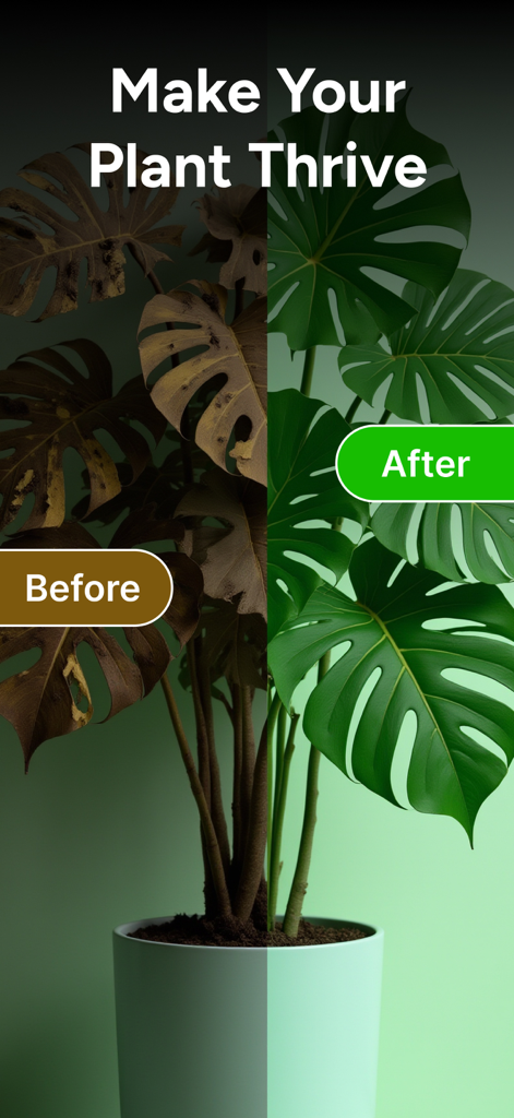 PlantCheck: Plant Identifier - Una pantalla dividida que muestra una planta de Monstera moribunda junto a una sana y verde con el texto Haz que tu planta prospere.