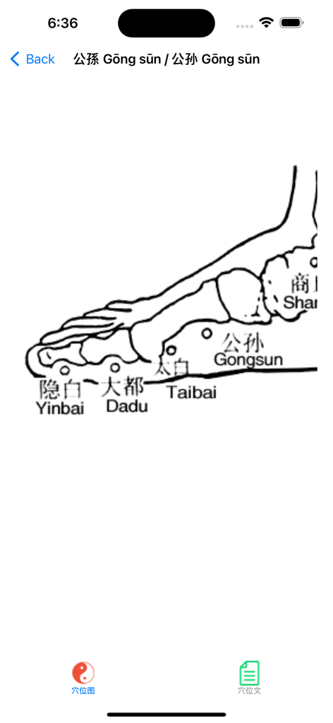 Diagram showing the location of foot acupuncture points like Gongsun and Taibai in the Meridian Acupoints app
