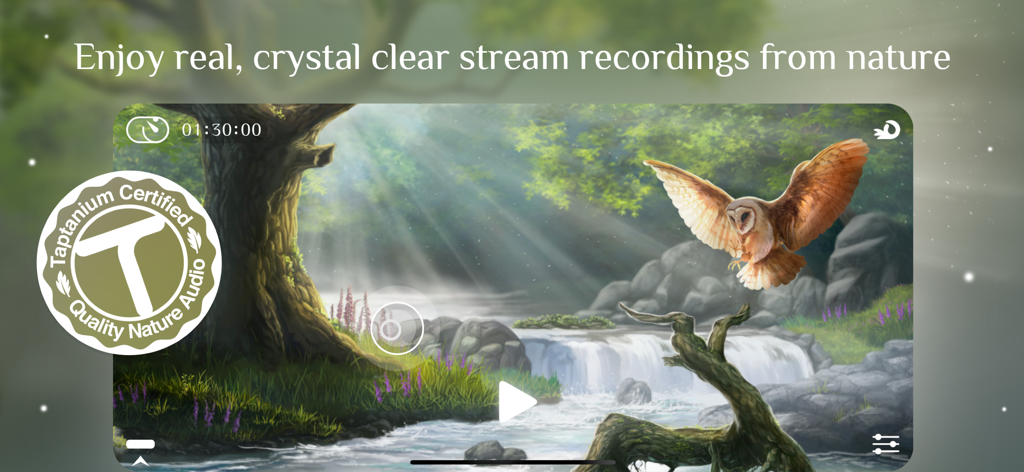 Flowing 2 app interface showing a peaceful nature stream with a waterfall and flying owl