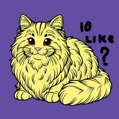 norwegian forest cat