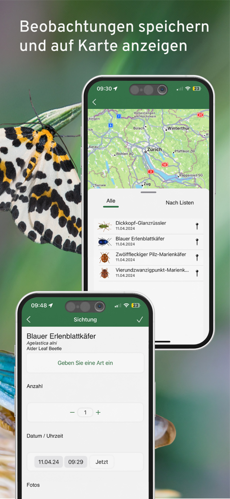 Mobile app screens showing insect observation tracking and sightings on a map.