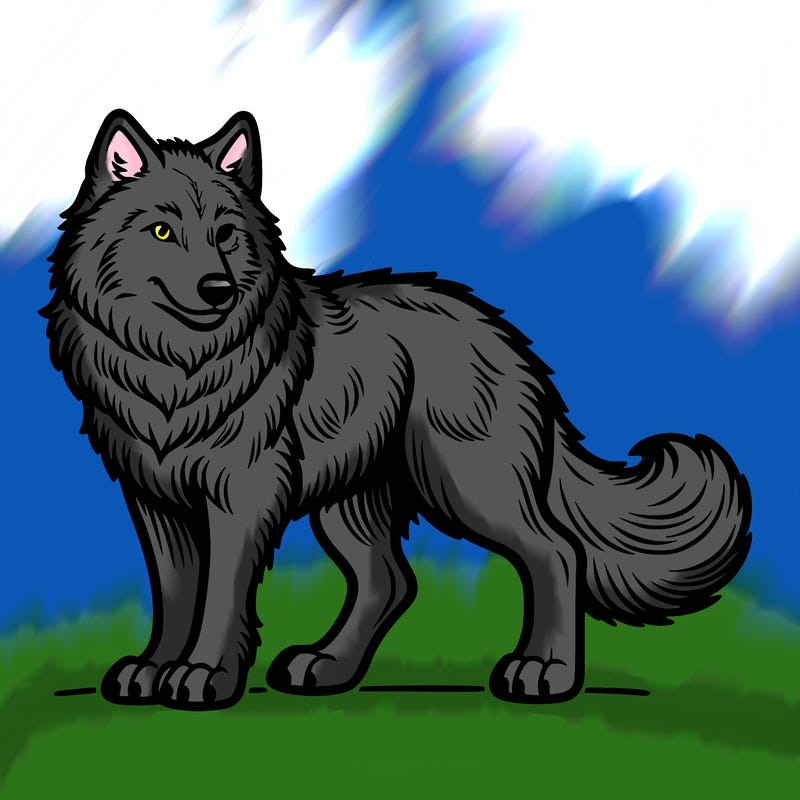 wolf