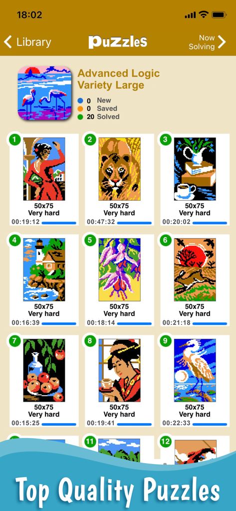 Sym-a-Pix: Nonogram Symmetry - Gallery view of completed advanced logic pixel art puzzles showing grid sizes and difficulty levels