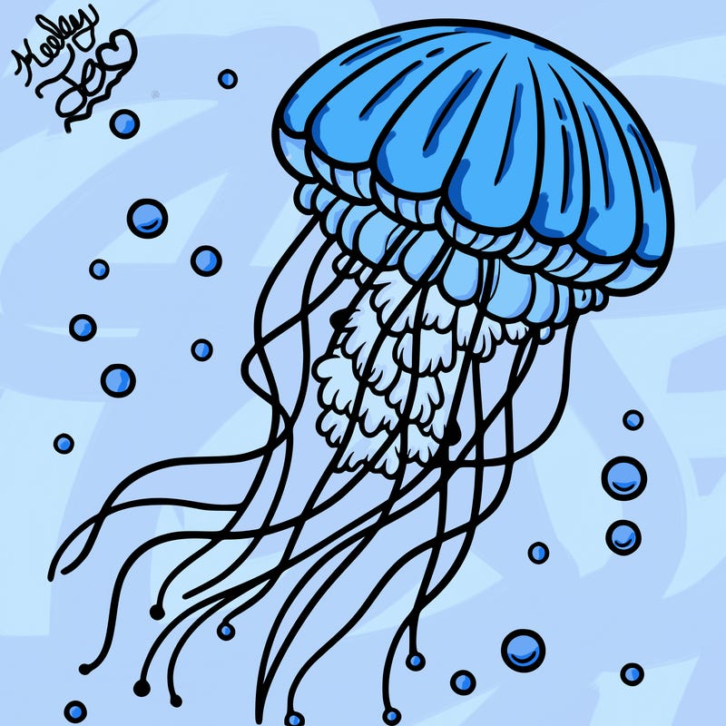 jellyfish
