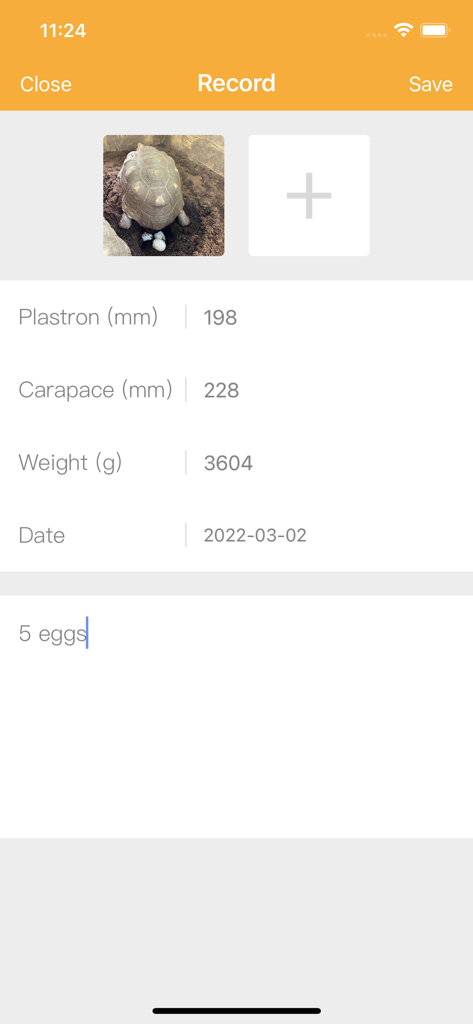 Tortoise app interface for logging turtle shell measurements and weight records