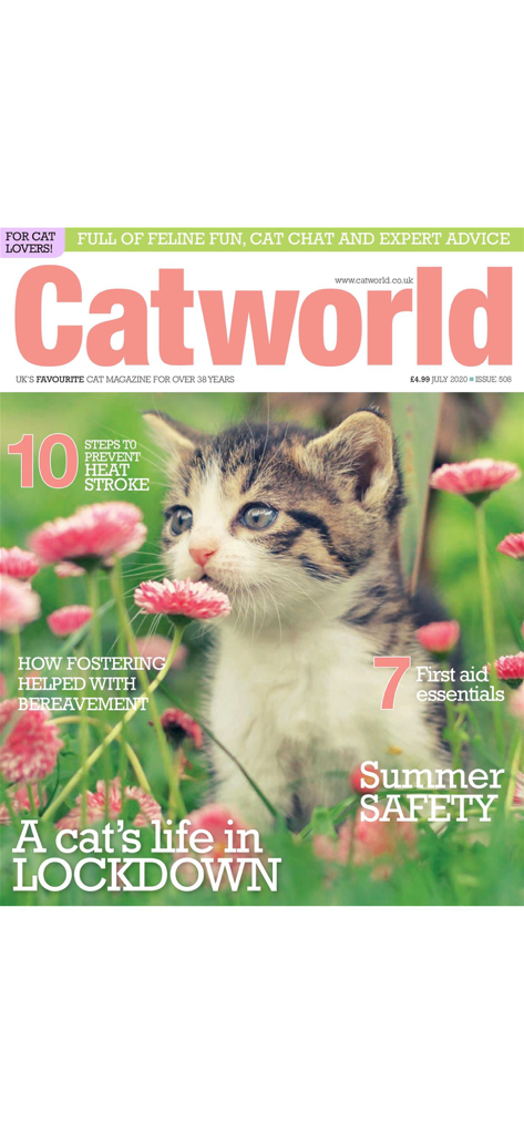 Catworld Magazine - Portada de la revista Catworld con un gatito y artículos sobre el cuidado de gatos