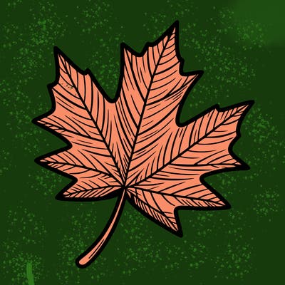 maple leaf