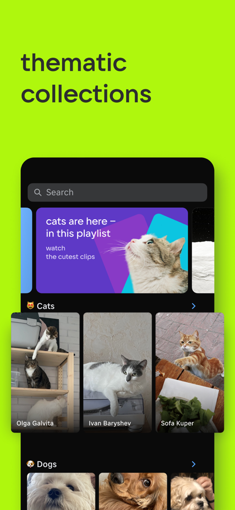 VK Clips App-Oberfläche, die thematische Videosammlungen von Katzen und Hunden zeigt