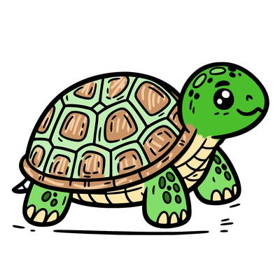 turtle
